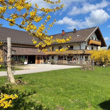 Ferienwohnungen Dopplerhof Пидинг Екстериор снимка